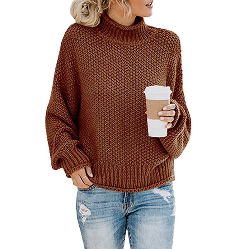Turtleneck Textured Cozy Women Sweater