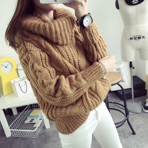 Fashion Turtle Neck Pullover Twist Knitting Sweater