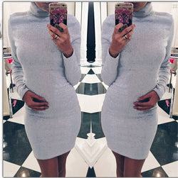 High Neck Slim Warm Long Sleeves Short Dress