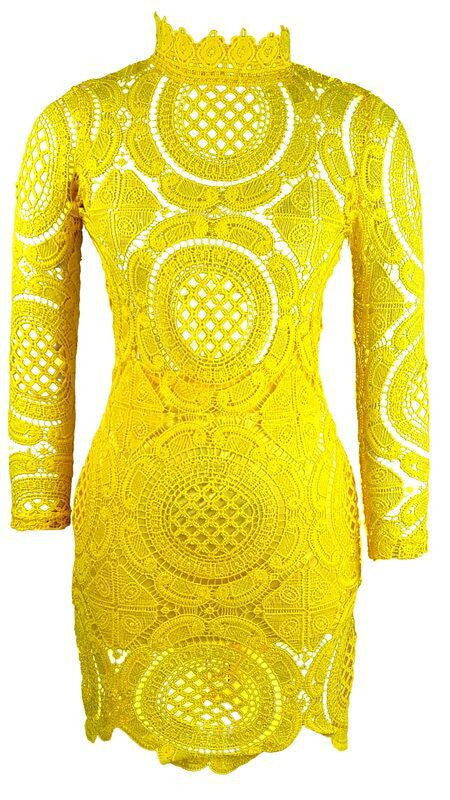 Hollow Out Lace High Neck Long Sleeve Lining Short Dress