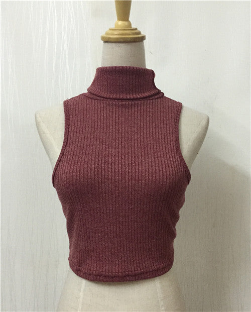 High Neck Ribbed-Knit Sleeveless Short Crop Top