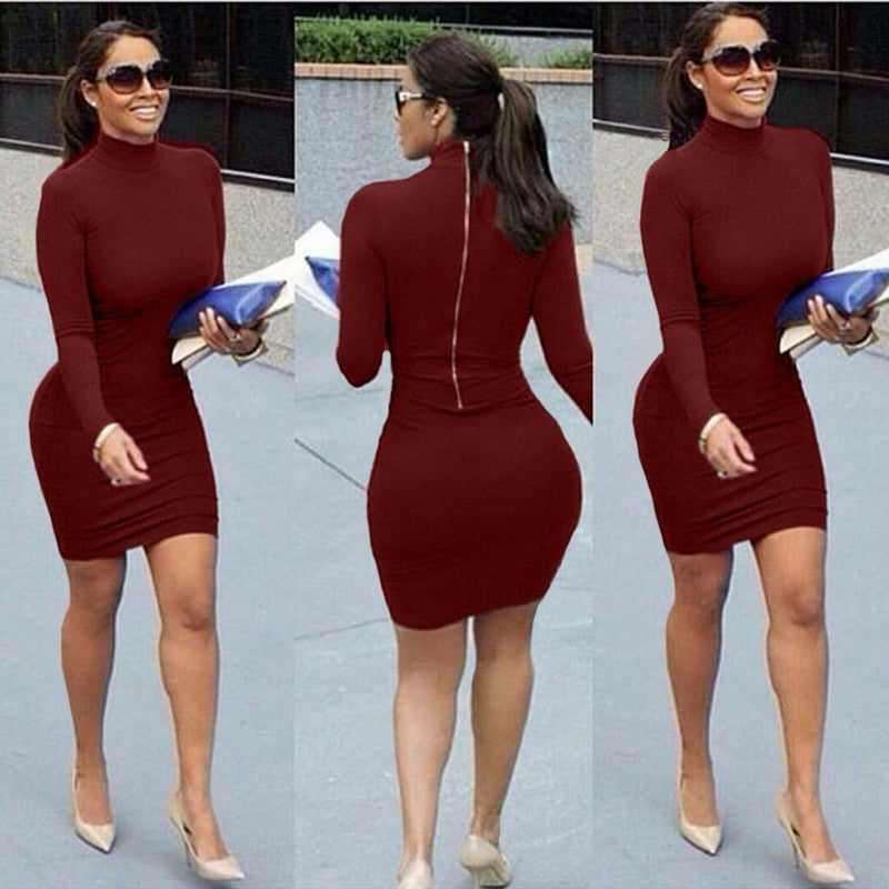 High Neck Long Sleeve Back Zipper Bodycon Short Dress