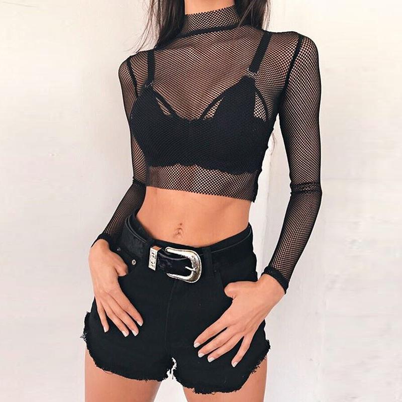 Transparent Hollow Out Mesh Long Sleeves High Neck Crop Top