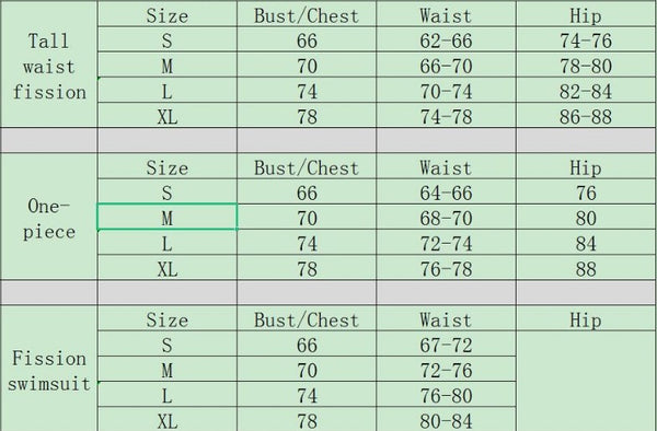 Sexy Print Bikini Set for Women Swimsuits