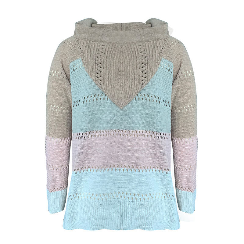 Colorblock V Neck Hooded Sweater
